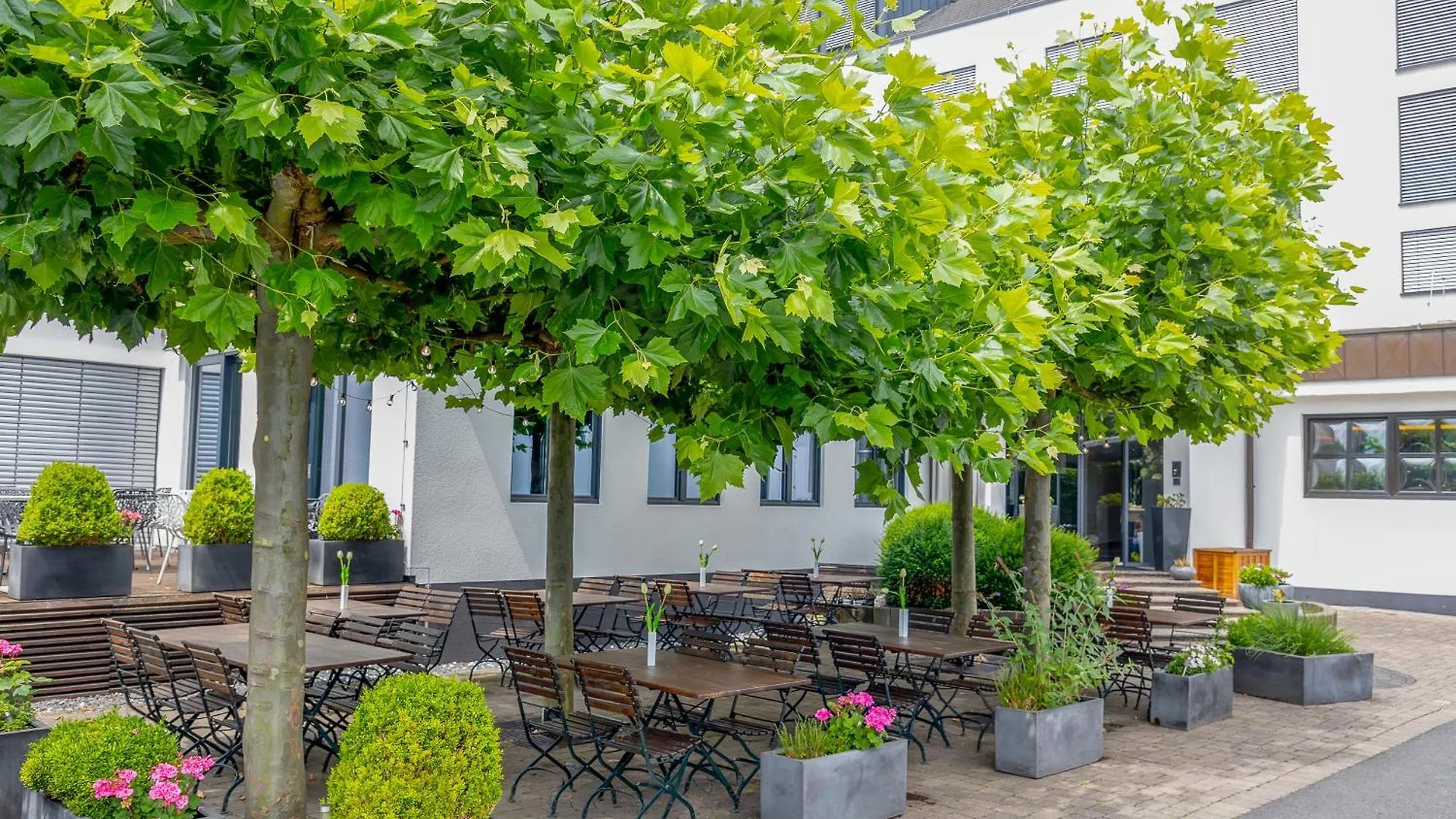 &Repeat Koeln Airport Hotel
